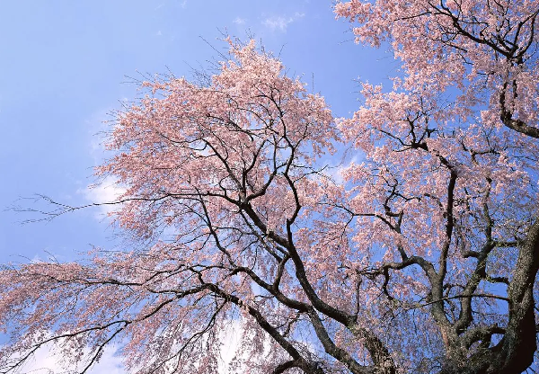 深圳模具制造廠 深圳模具制造廠